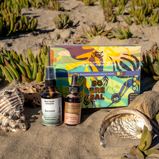 Kit hidratación eléctrica - Valchini